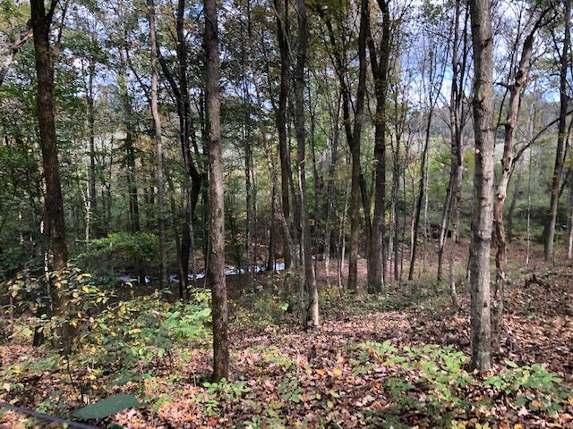 1453 Millerfield Road Columbia, KY 42728 - Photo 15 of 20 IMG_8516