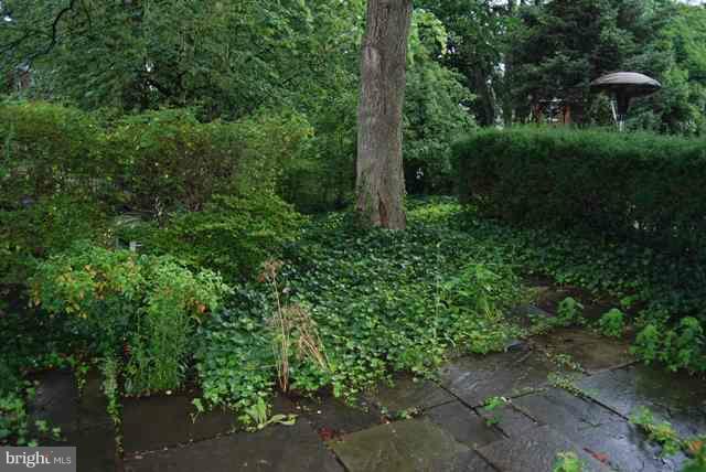 3312 Gunston Road, Unit 73033 Alexandria, VA 22302 - Photo 12 of 15 Backyard