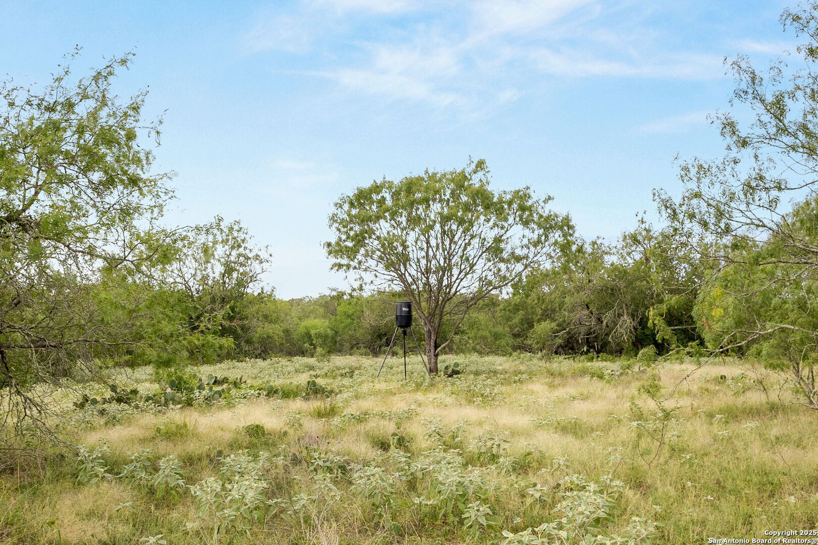 3141 Zion Hill Road Seguin, TX 78155 - Photo 11 of 36