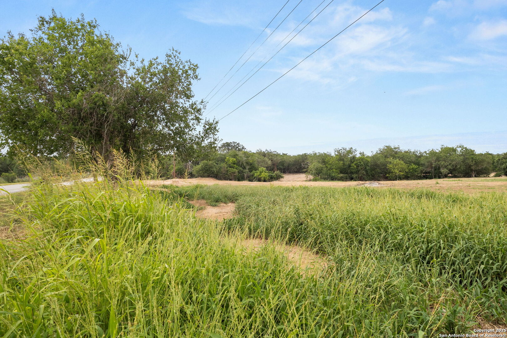 3141 Zion Hill Road Seguin, TX 78155 - Photo 13 of 36