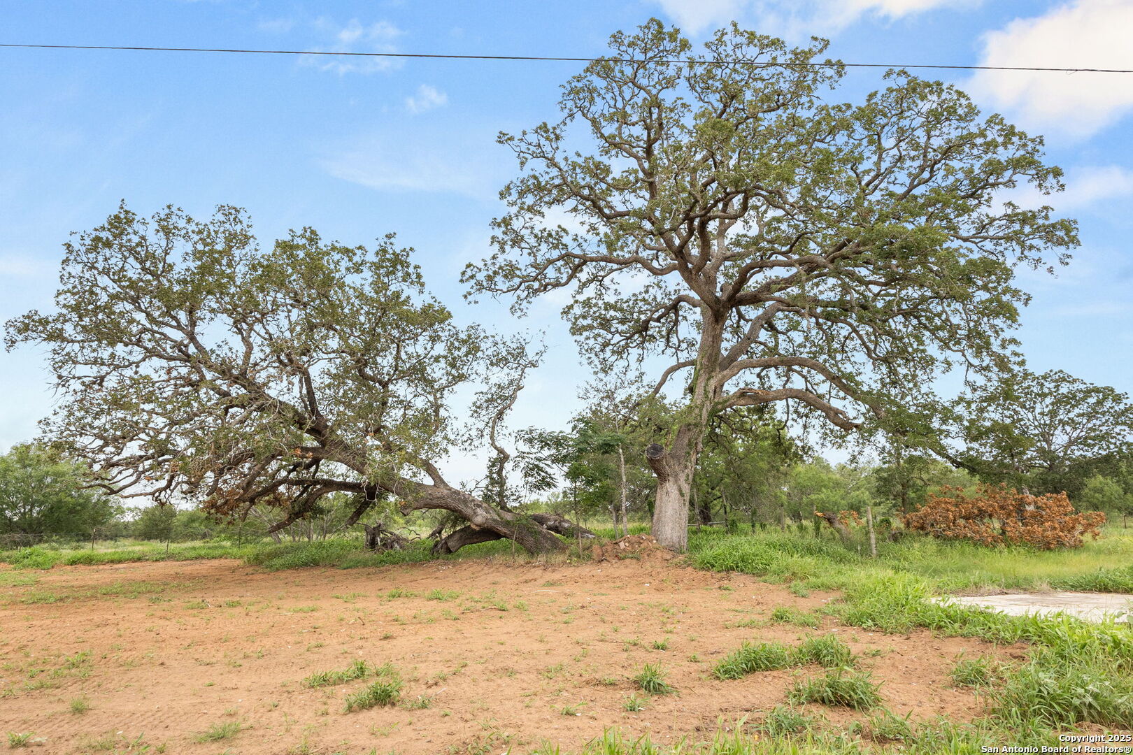 3141 Zion Hill Road Seguin, TX 78155 - Photo 15 of 36