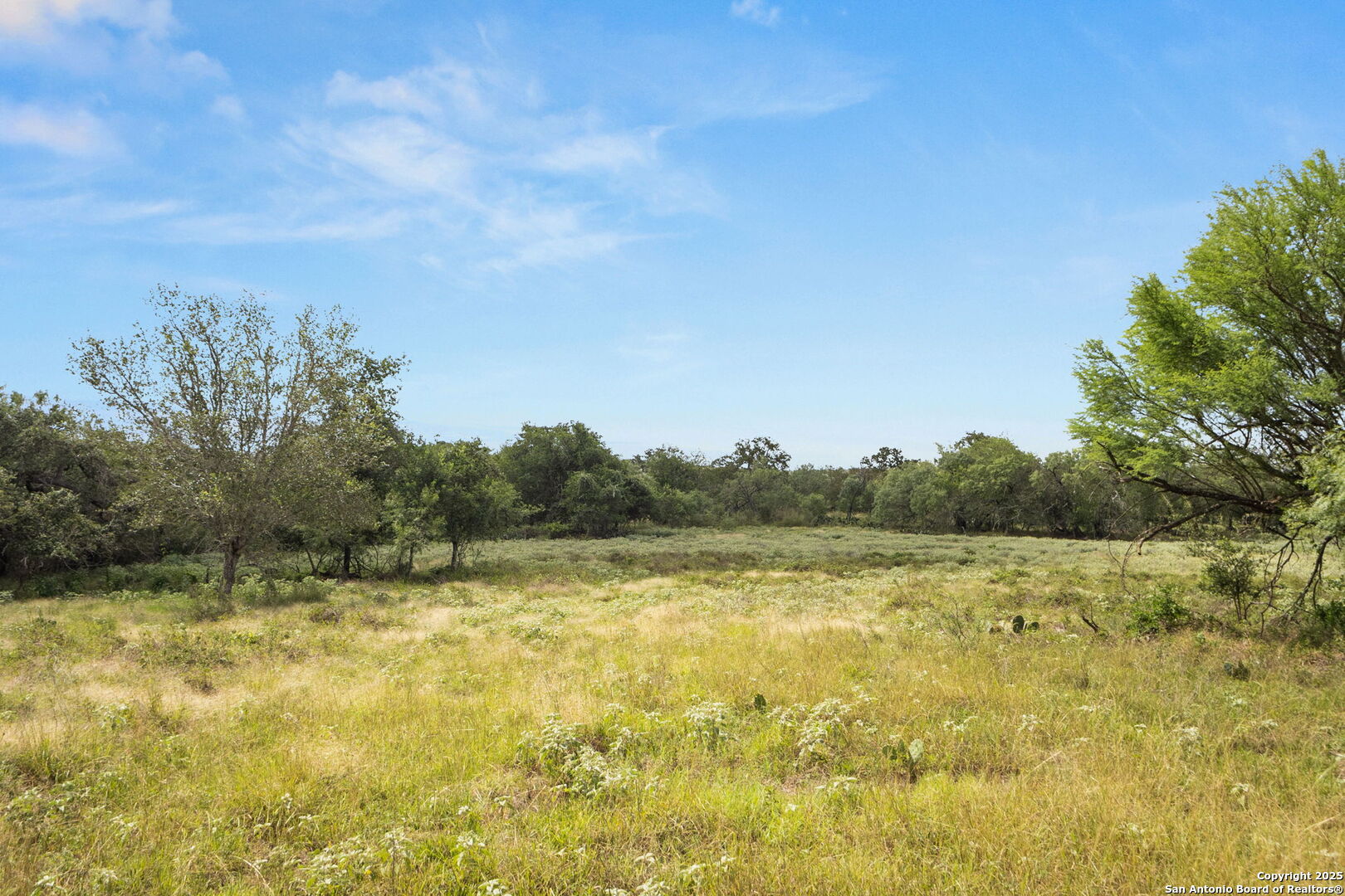 3141 Zion Hill Road Seguin, TX 78155 - Photo 16 of 36