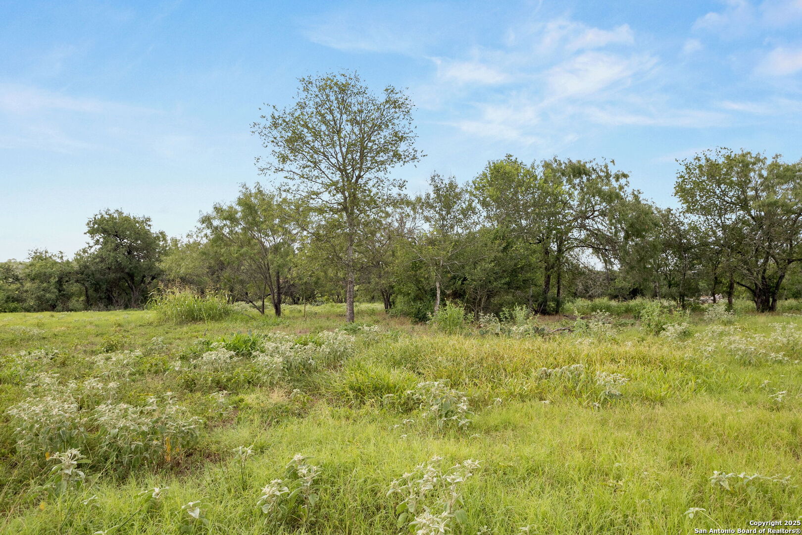 3141 Zion Hill Road Seguin, TX 78155 - Photo 18 of 36