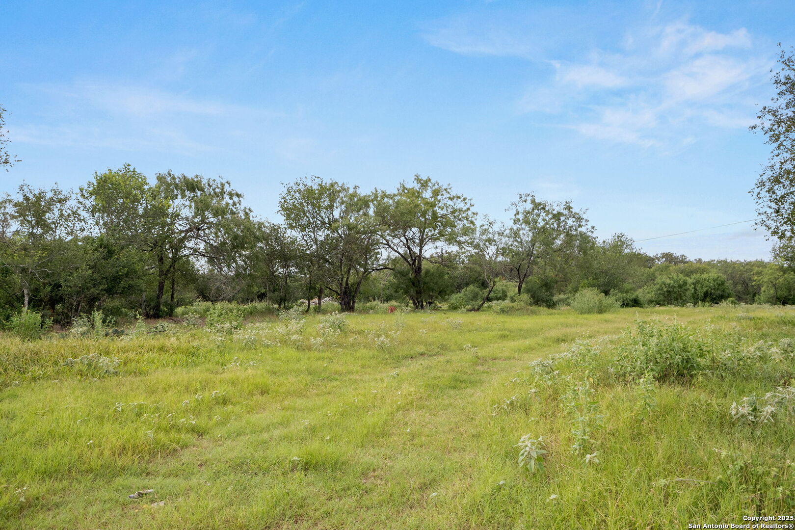 3141 Zion Hill Road Seguin, TX 78155 - Photo 2 of 36
