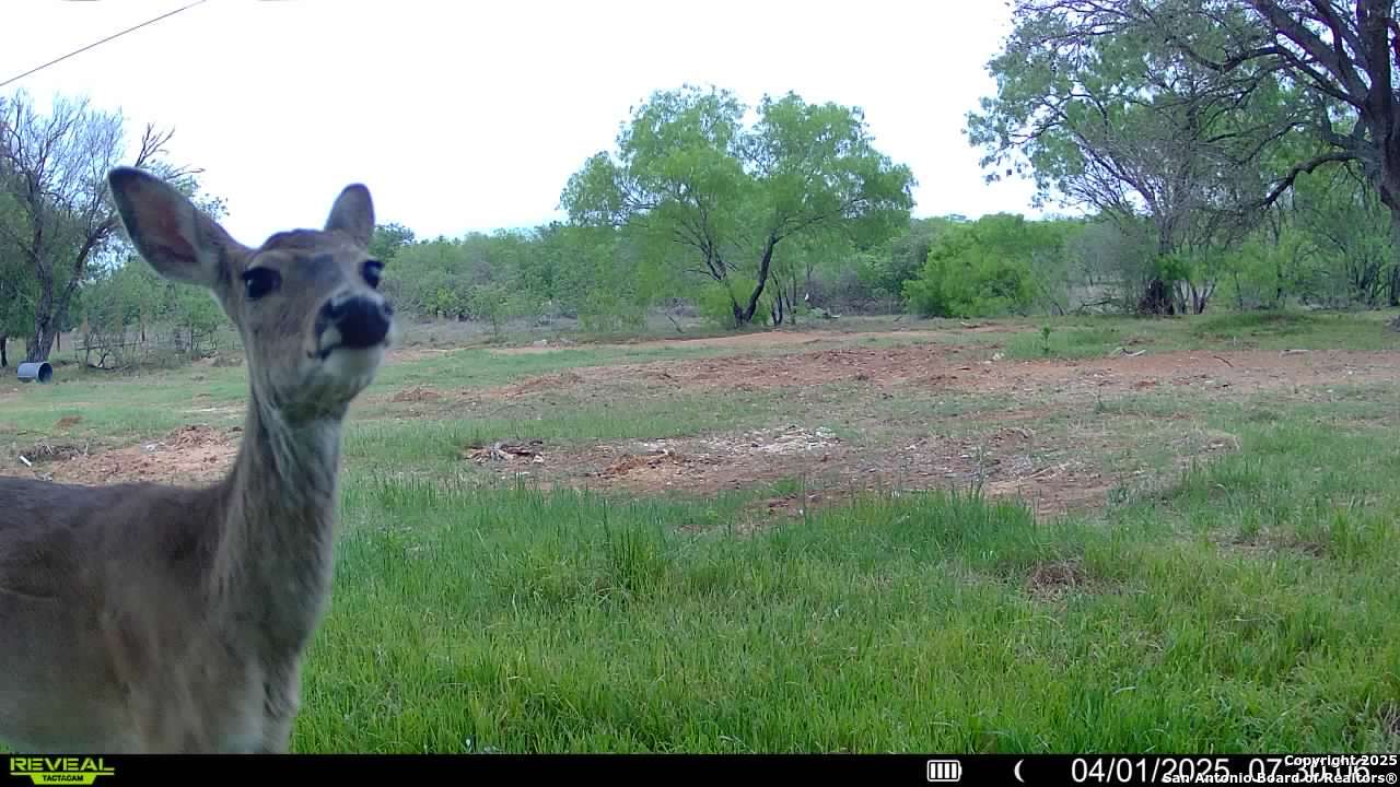3141 Zion Hill Road Seguin, TX 78155 - Photo 29 of 36