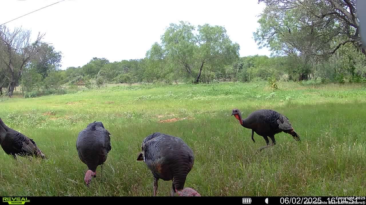 3141 Zion Hill Road Seguin, TX 78155 - Photo 30 of 36