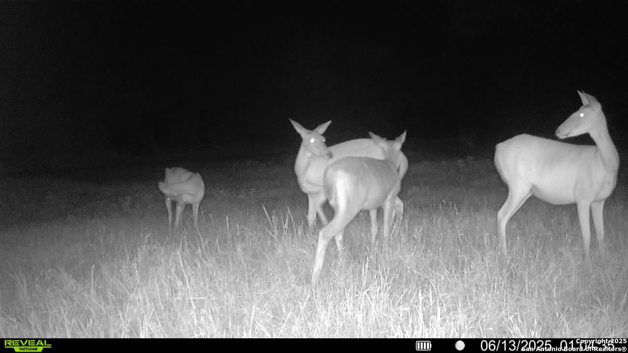 3141 Zion Hill Road Seguin, TX 78155 - Photo 31 of 36