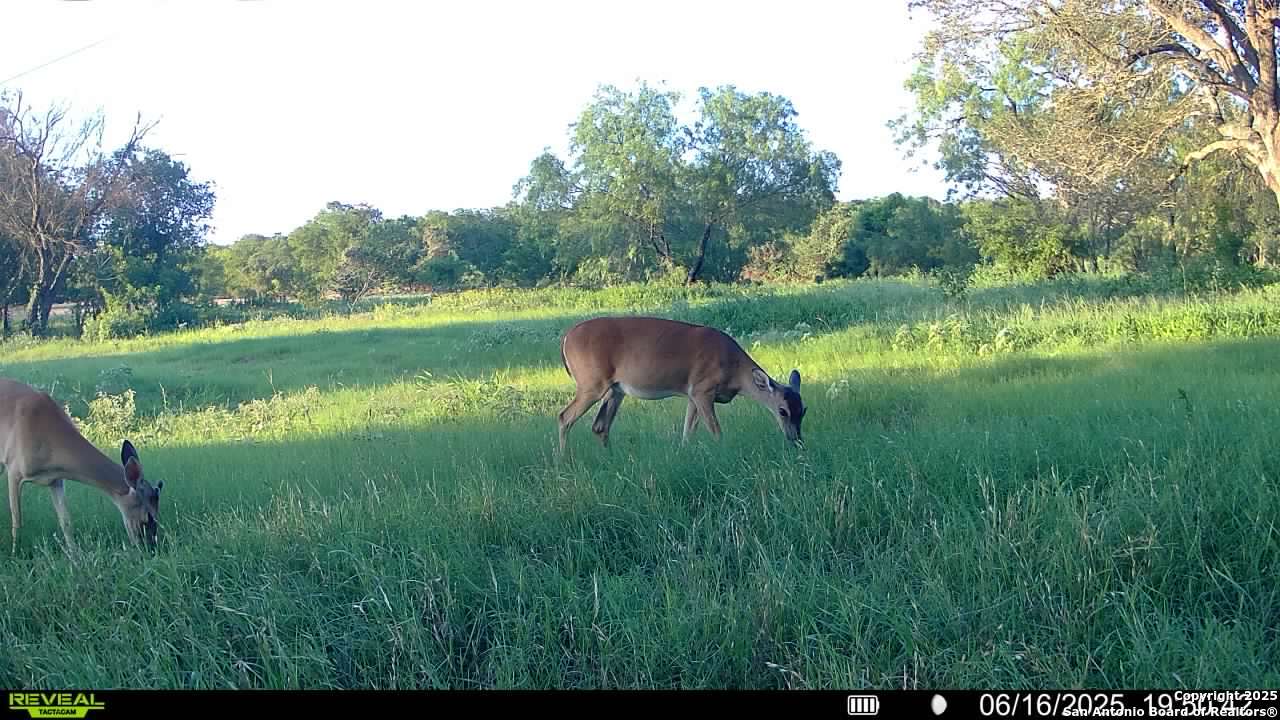 3141 Zion Hill Road Seguin, TX 78155 - Photo 32 of 36