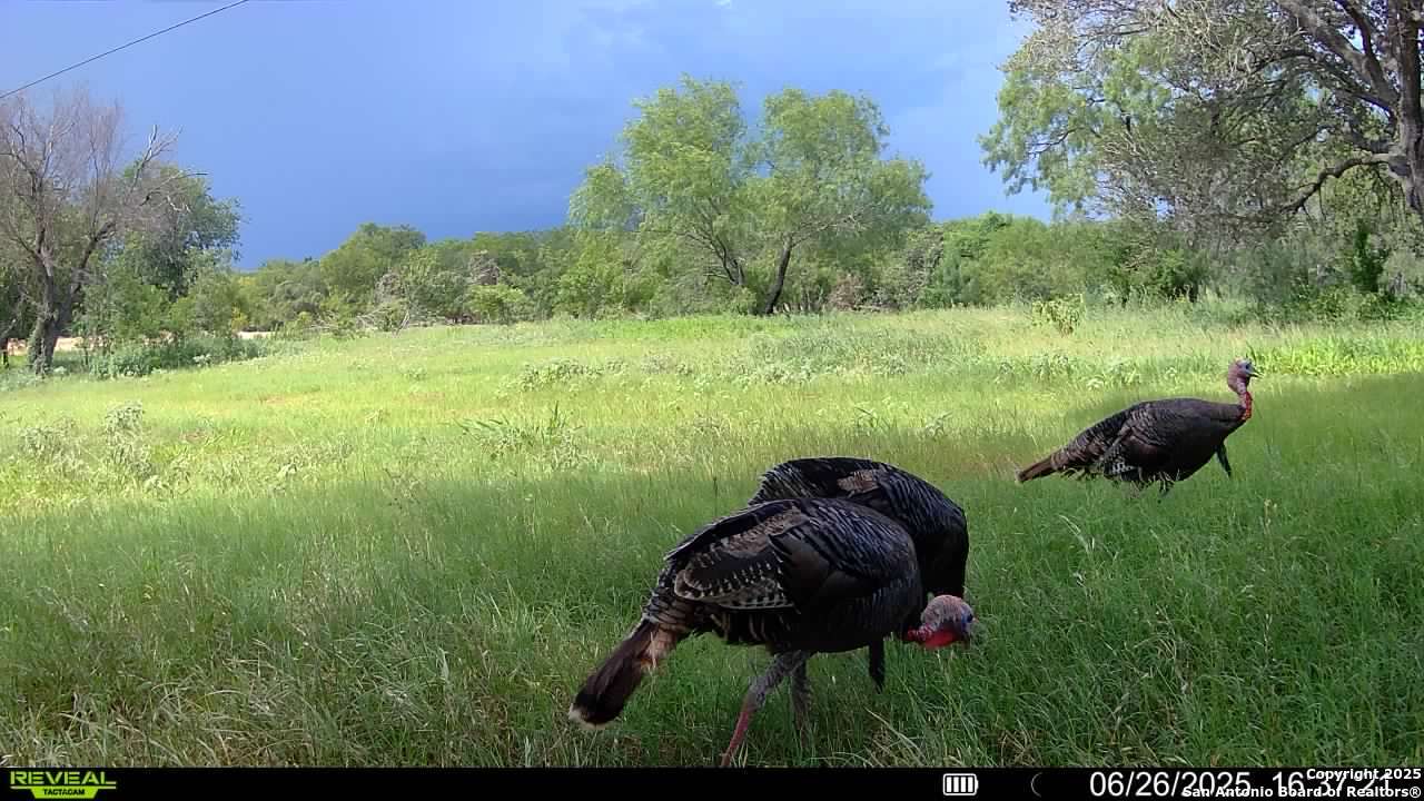 3141 Zion Hill Road Seguin, TX 78155 - Photo 33 of 36