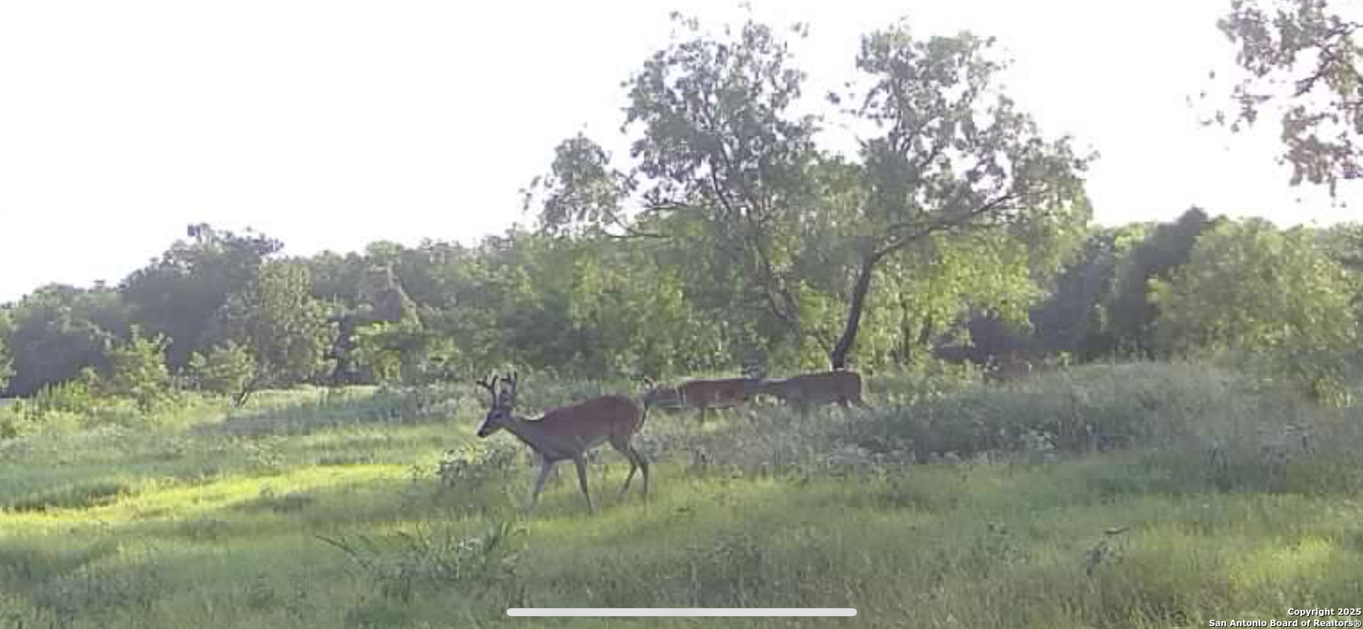 3141 Zion Hill Road Seguin, TX 78155 - Photo 34 of 36