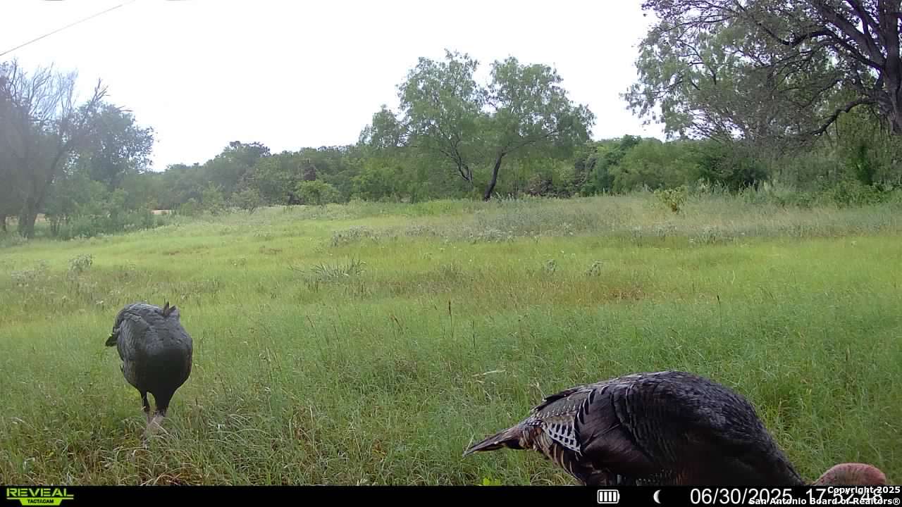 3141 Zion Hill Road Seguin, TX 78155 - Photo 35 of 36