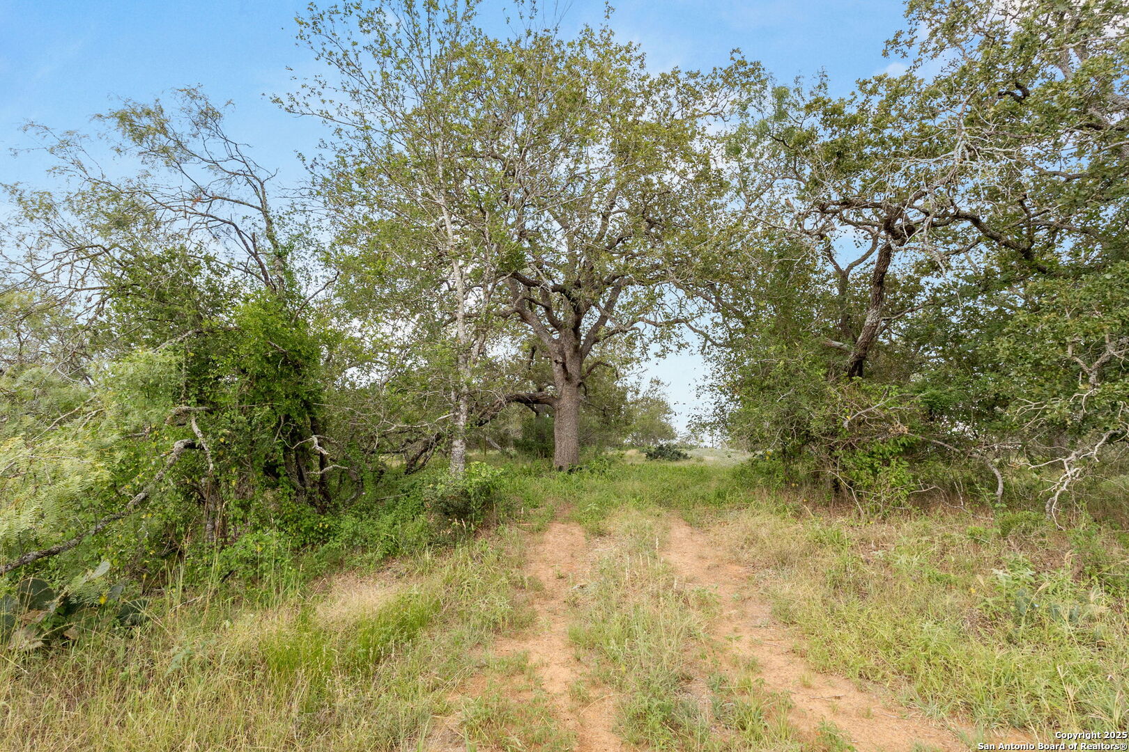 3141 Zion Hill Road Seguin, TX 78155 - Photo 4 of 36