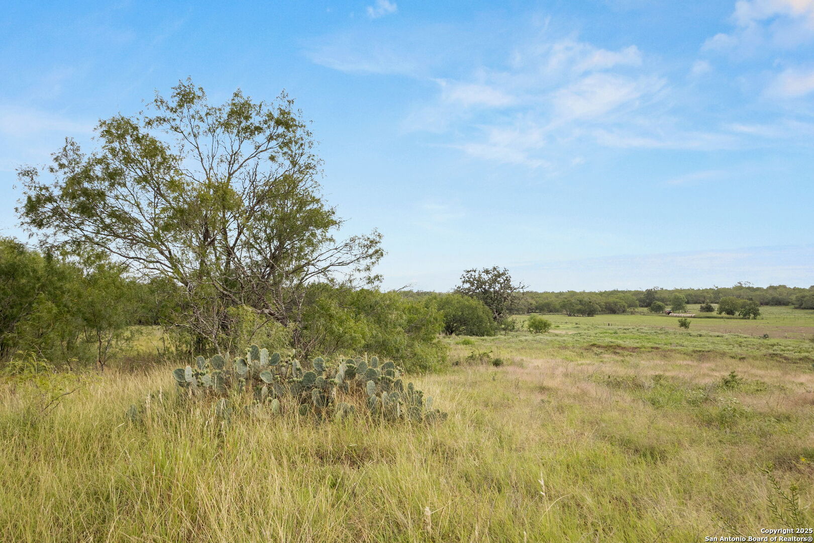3141 Zion Hill Road Seguin, TX 78155 - Photo 5 of 36