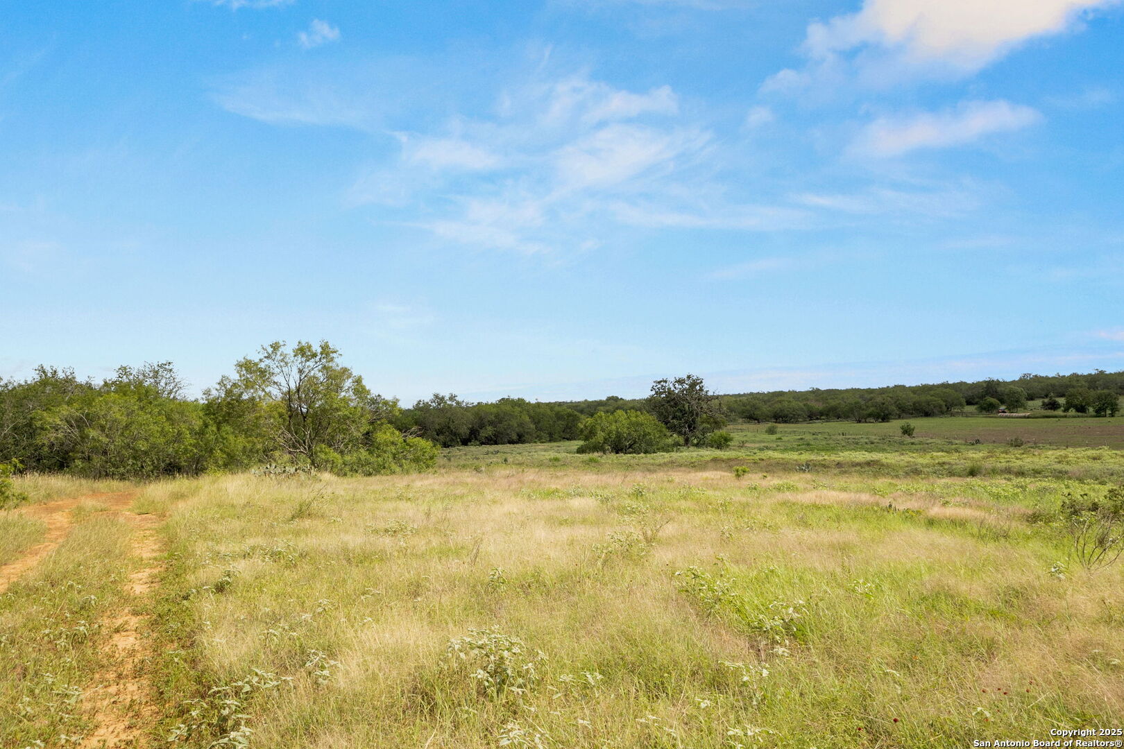 3141 Zion Hill Road Seguin, TX 78155 - Photo 6 of 36