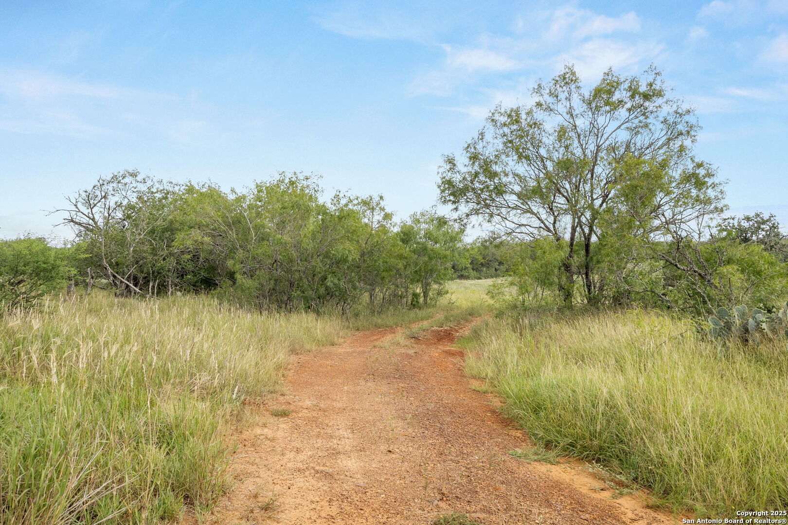 3141 Zion Hill Road Seguin, TX 78155 - Photo 7 of 36
