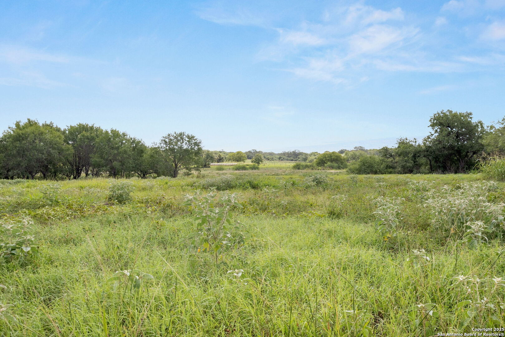 3141 Zion Hill Road Seguin, TX 78155 - Photo 8 of 36