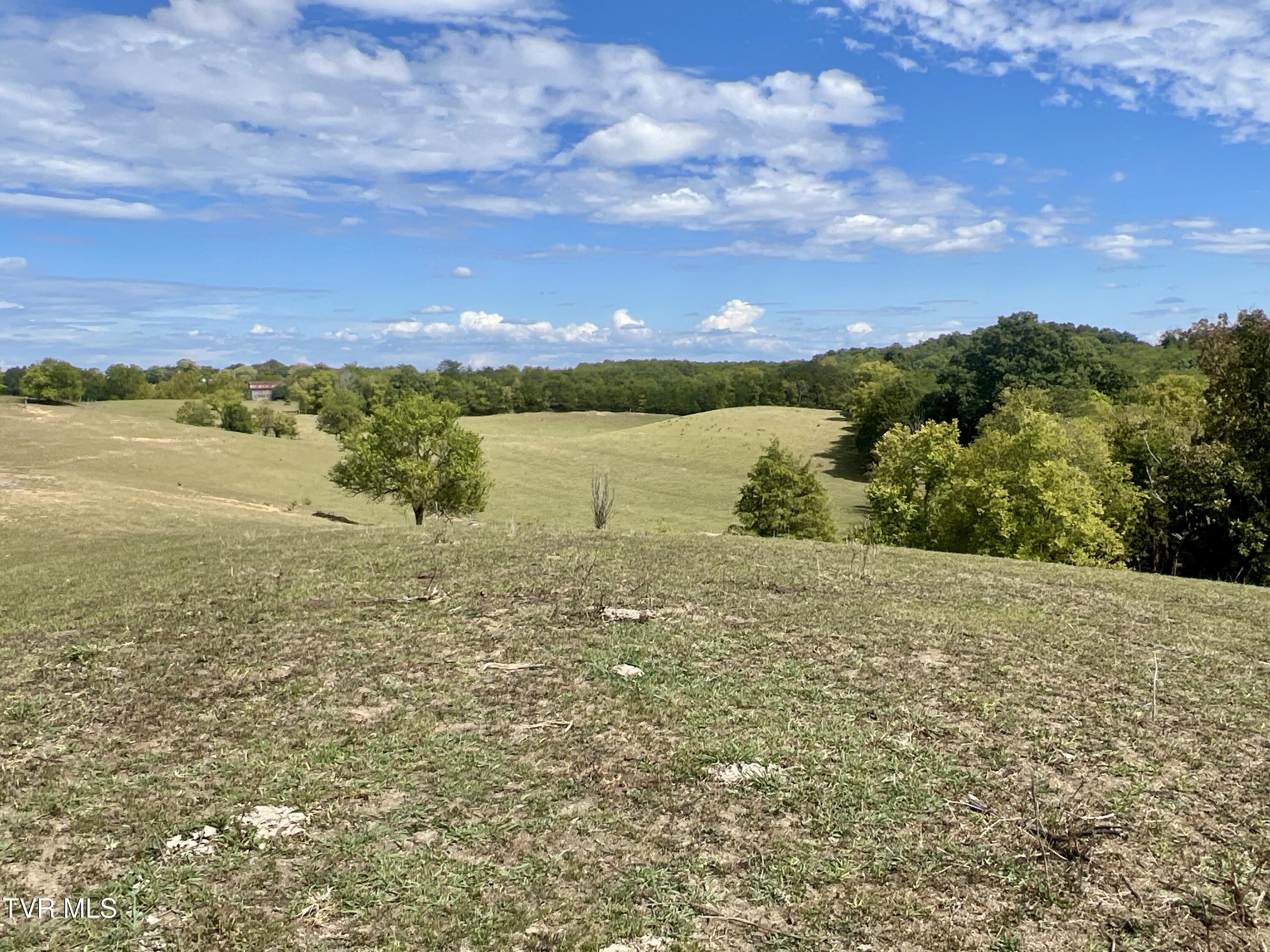 1550 Mt Hope Road, Unit 1 Mohawk, TN 37810 - Photo 99 of 113 _Pic98 (1)