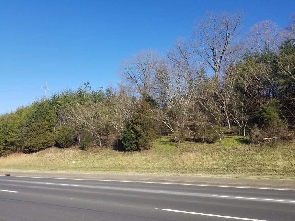 0 Center View Road Pigeon Forge, TN 37862 - Photo 16 of 19