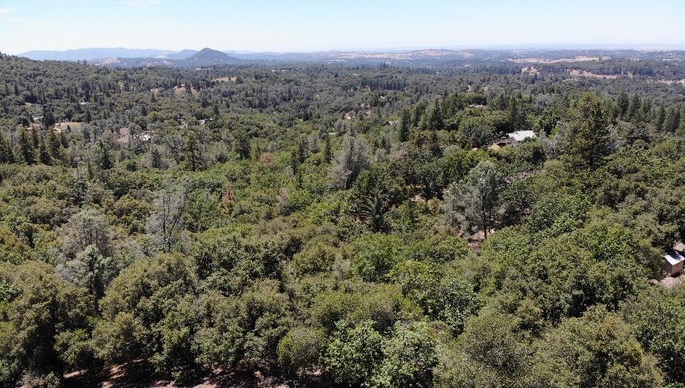 0 Bowman Road Pine Grove, CA 95665 - Photo 29 of 30