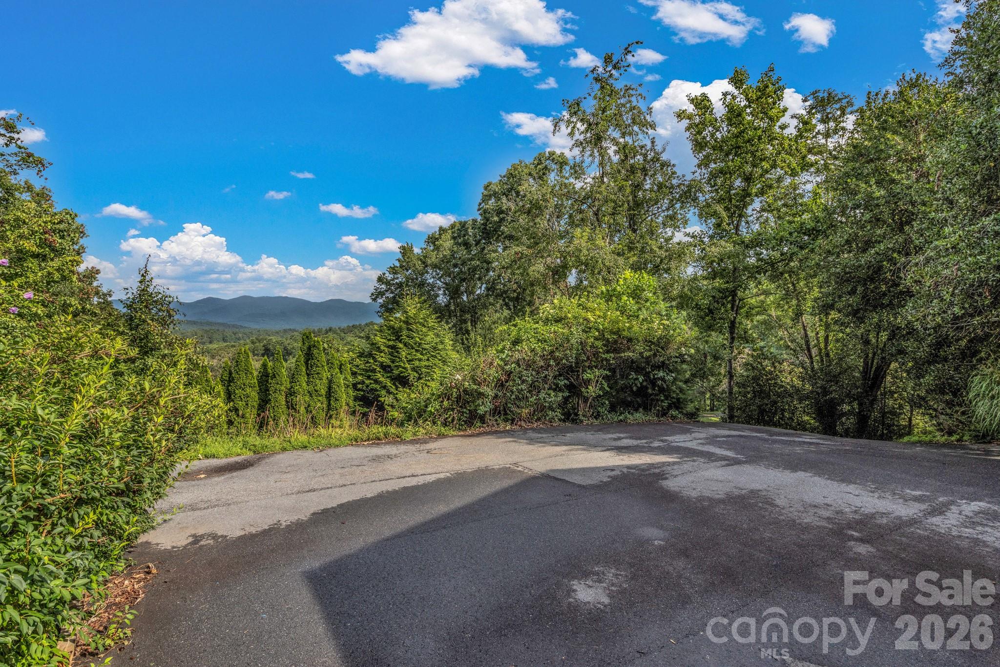 31 Mark Twain Road Asheville, NC 28805 - Photo 10 of 47