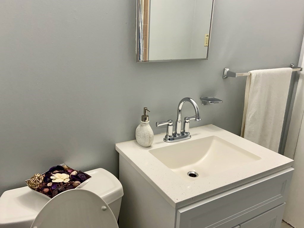 113 Manor Court, Unit 113 Springfield, MA 01118 - Photo 17 of 19 a bathroom with a sink and a mirror