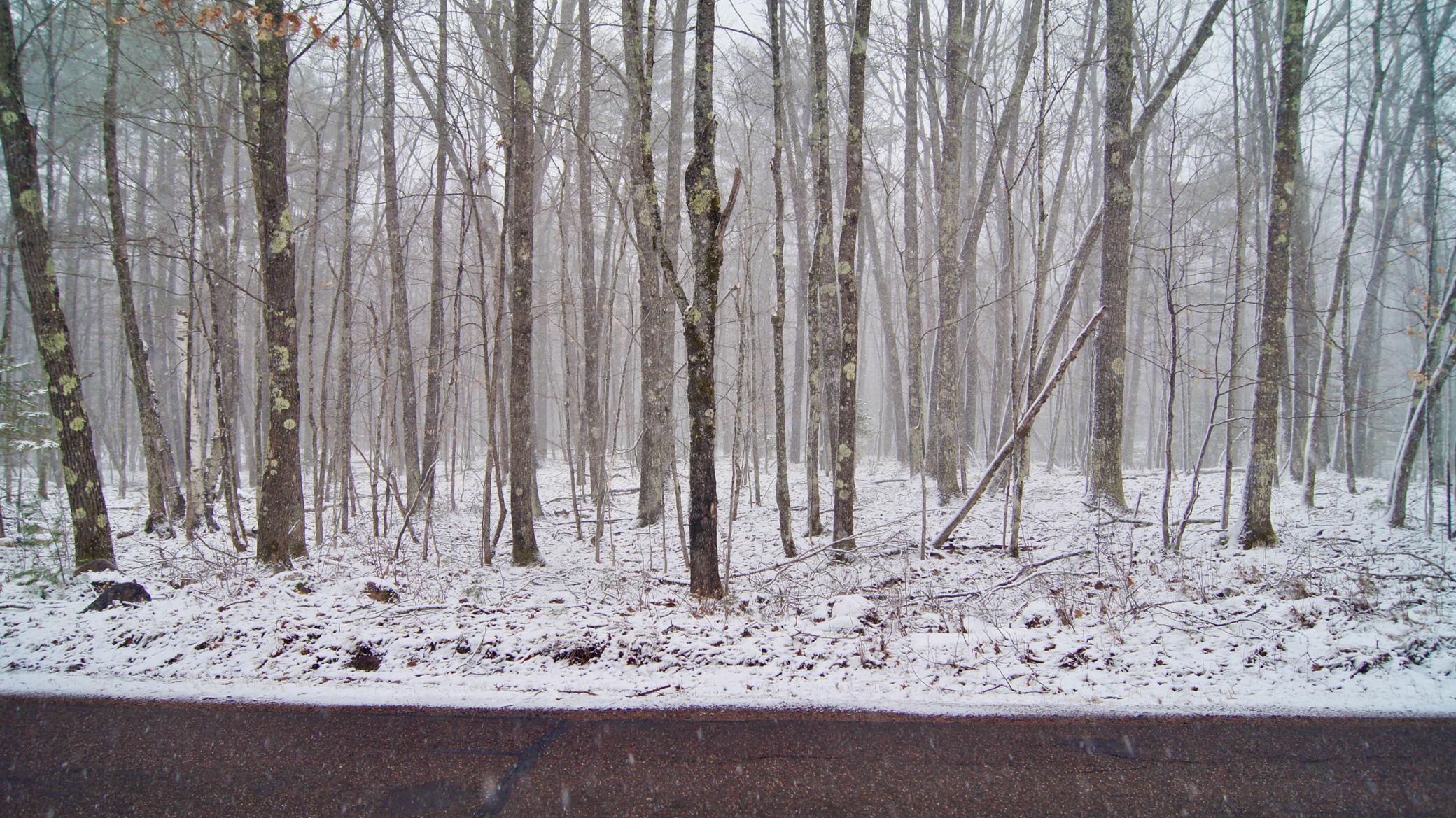Lot1 North Upper A Road Hayward, WI 54843 - Photo 1 of 1