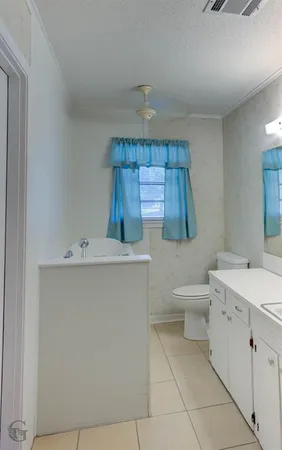 a bathroom with a sink a toilet and mirror