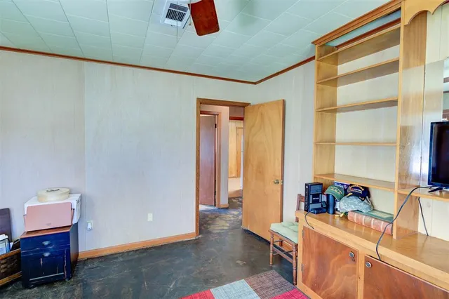 a room with furniture and a potted plant