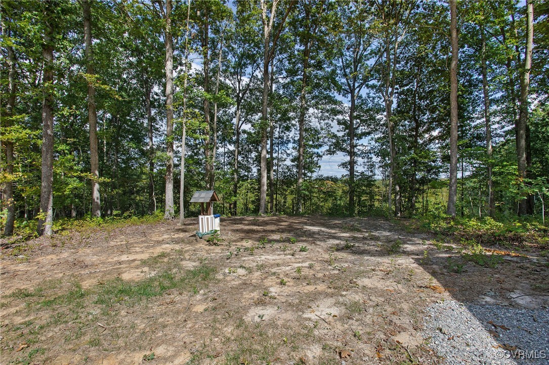 321 Johnson Mill Road Bumpass, VA 23024 - Photo 29 of 33 a view of outdoor space with trees