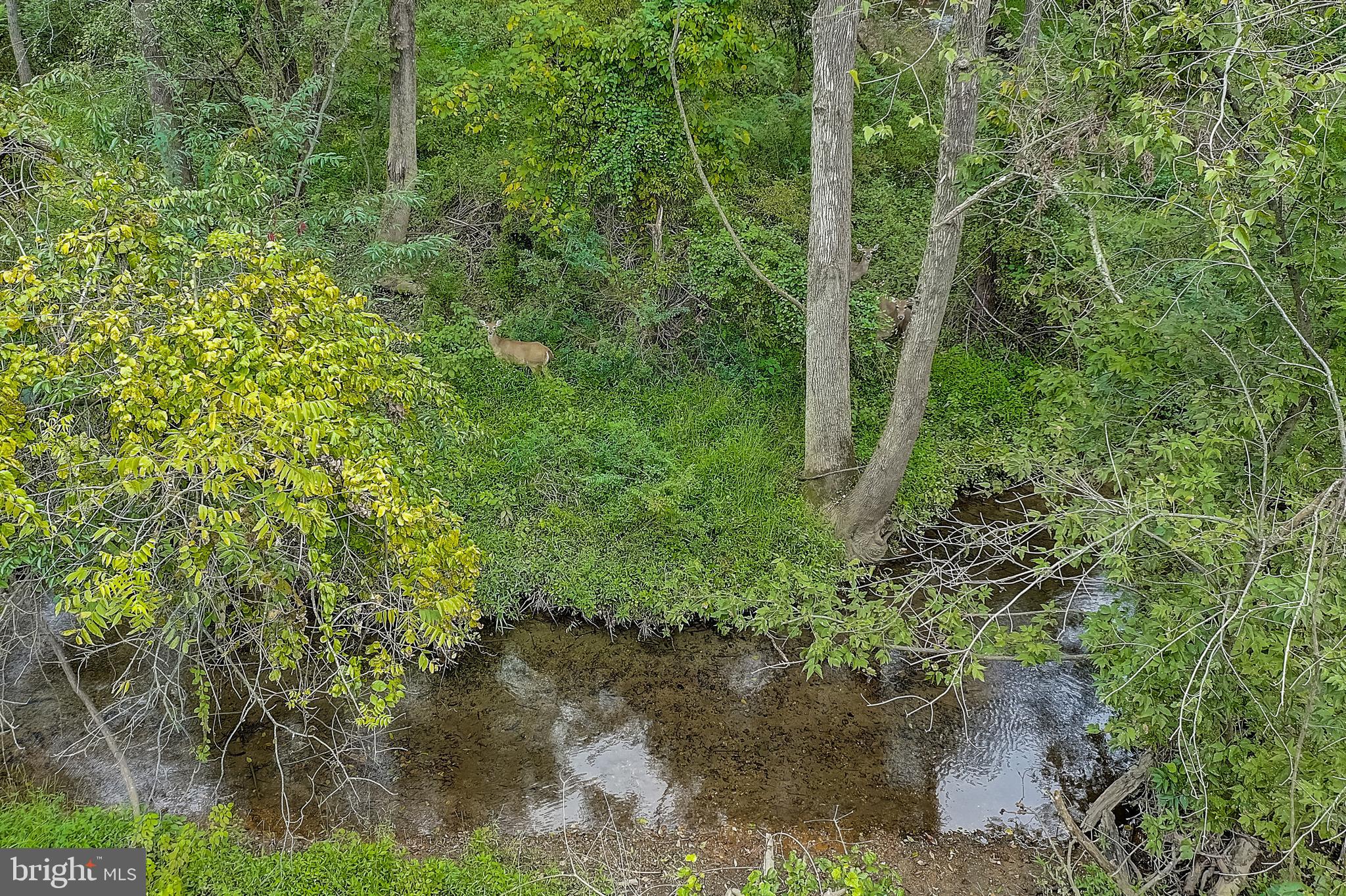 603 Newtown Road Berwyn, PA 19312 - Photo 89 of 90
