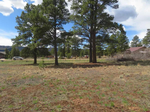 a view of outdoor space with trees
