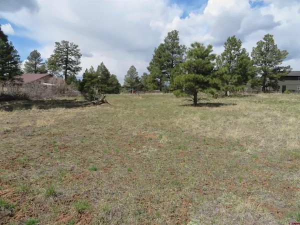 a view of a field with trees in background