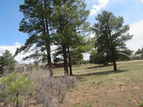 a view of a yard with a tree