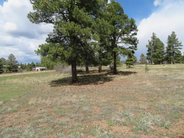 a view of dirt field with trees