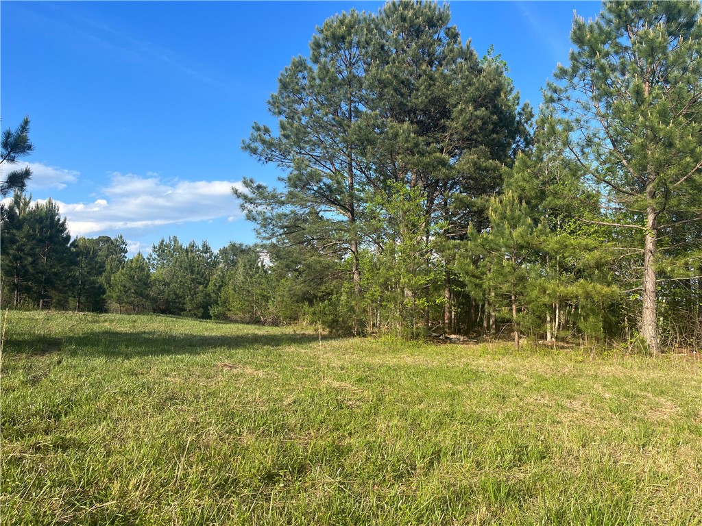 0 Cross Creek Road Salem, SC 29676 - Photo 3 of 11 Gallery Image 3