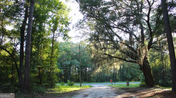 a view of a yard with large trees