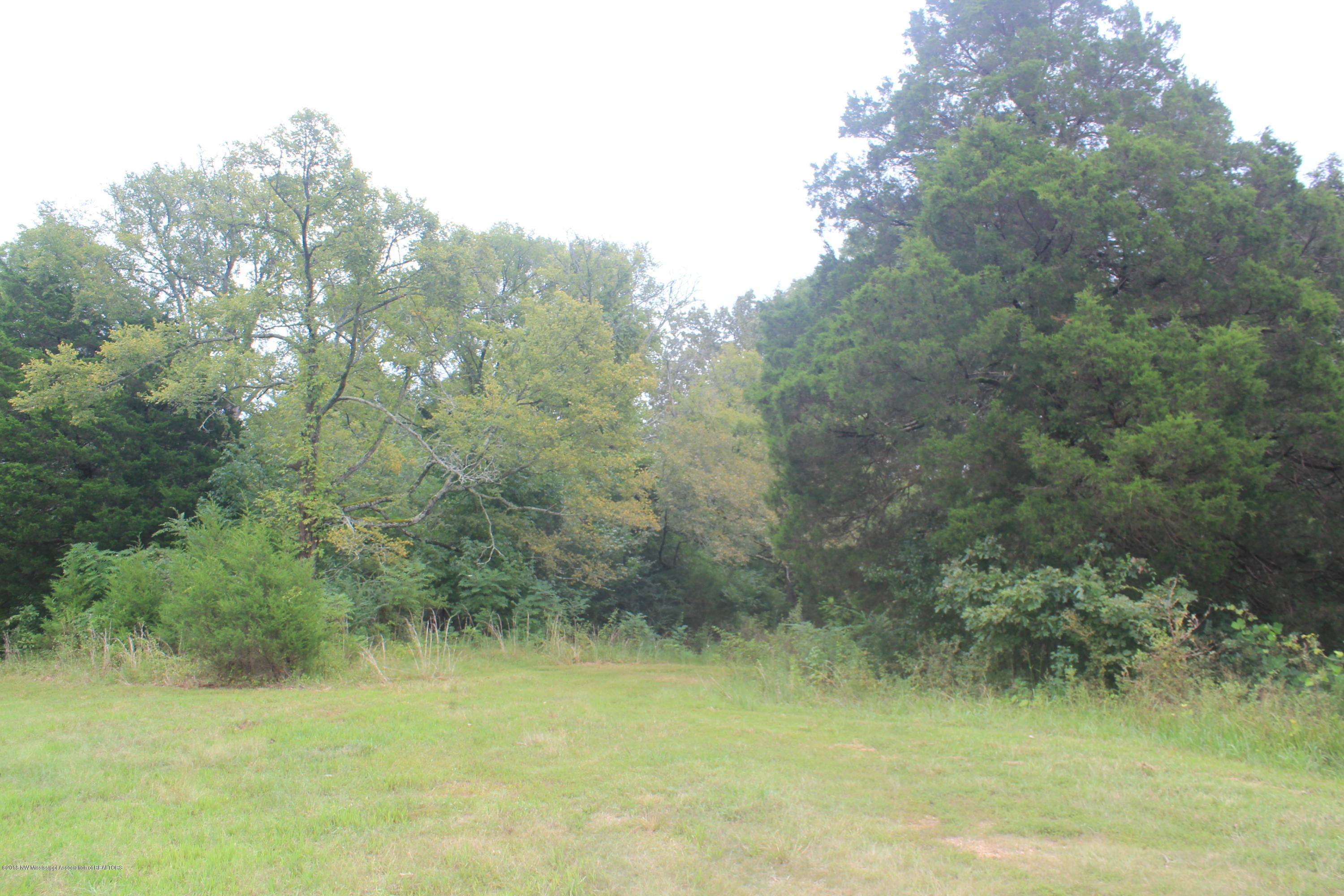1 Wheeler Road Hernando, MS 38632 - Photo 3 of 19 003