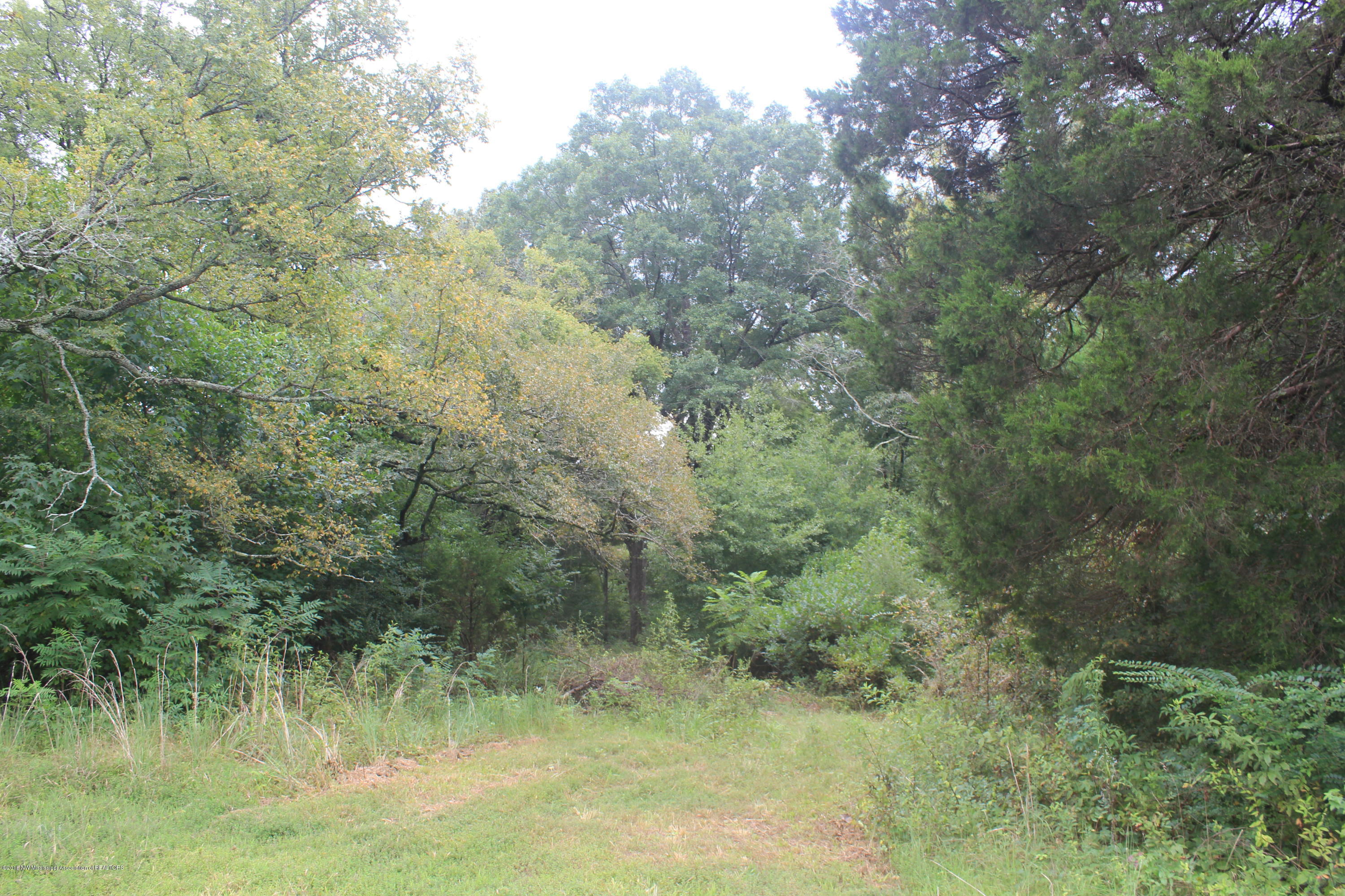 1 Wheeler Road Hernando, MS 38632 - Photo 5 of 19 005