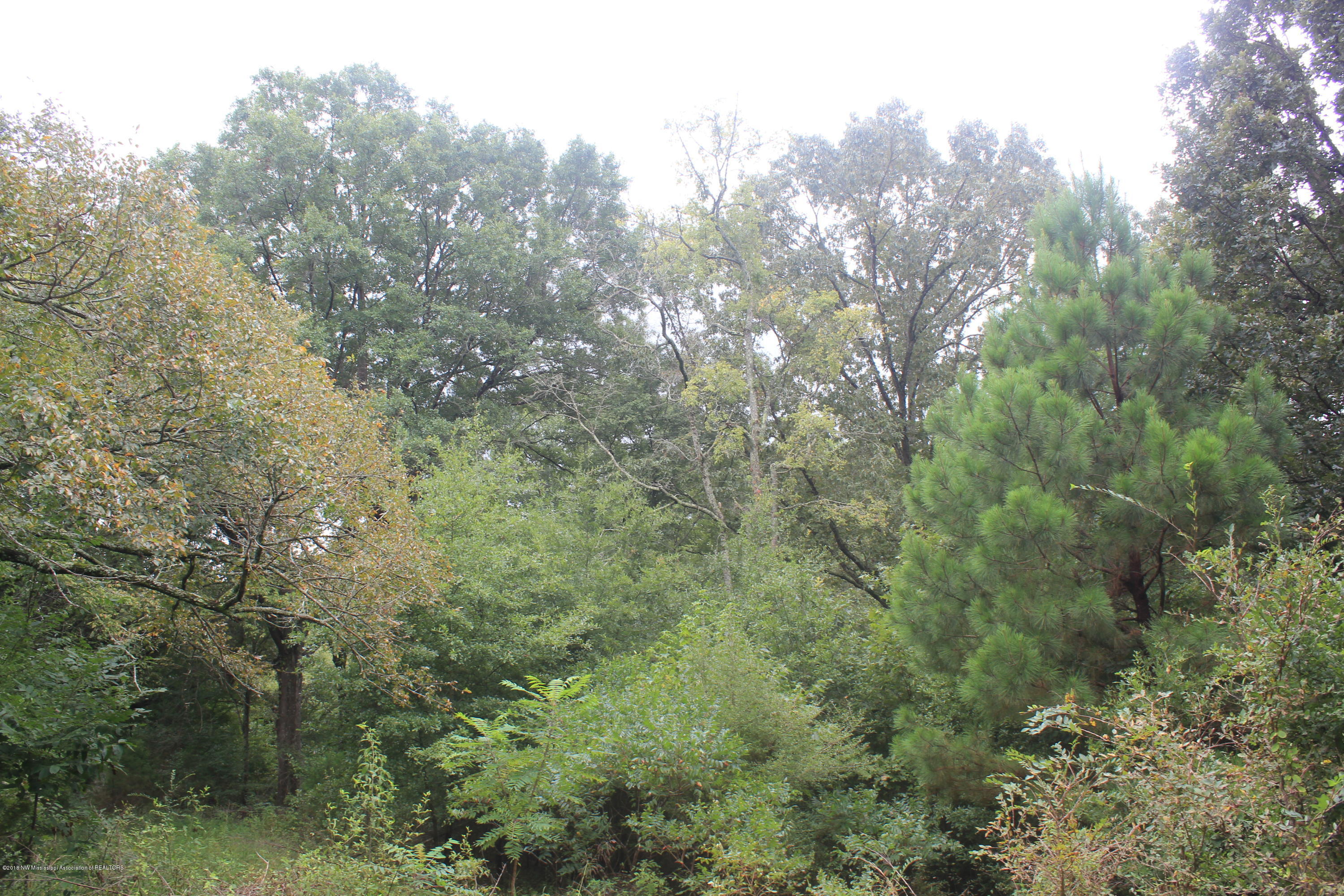 1 Wheeler Road Hernando, MS 38632 - Photo 6 of 19 006