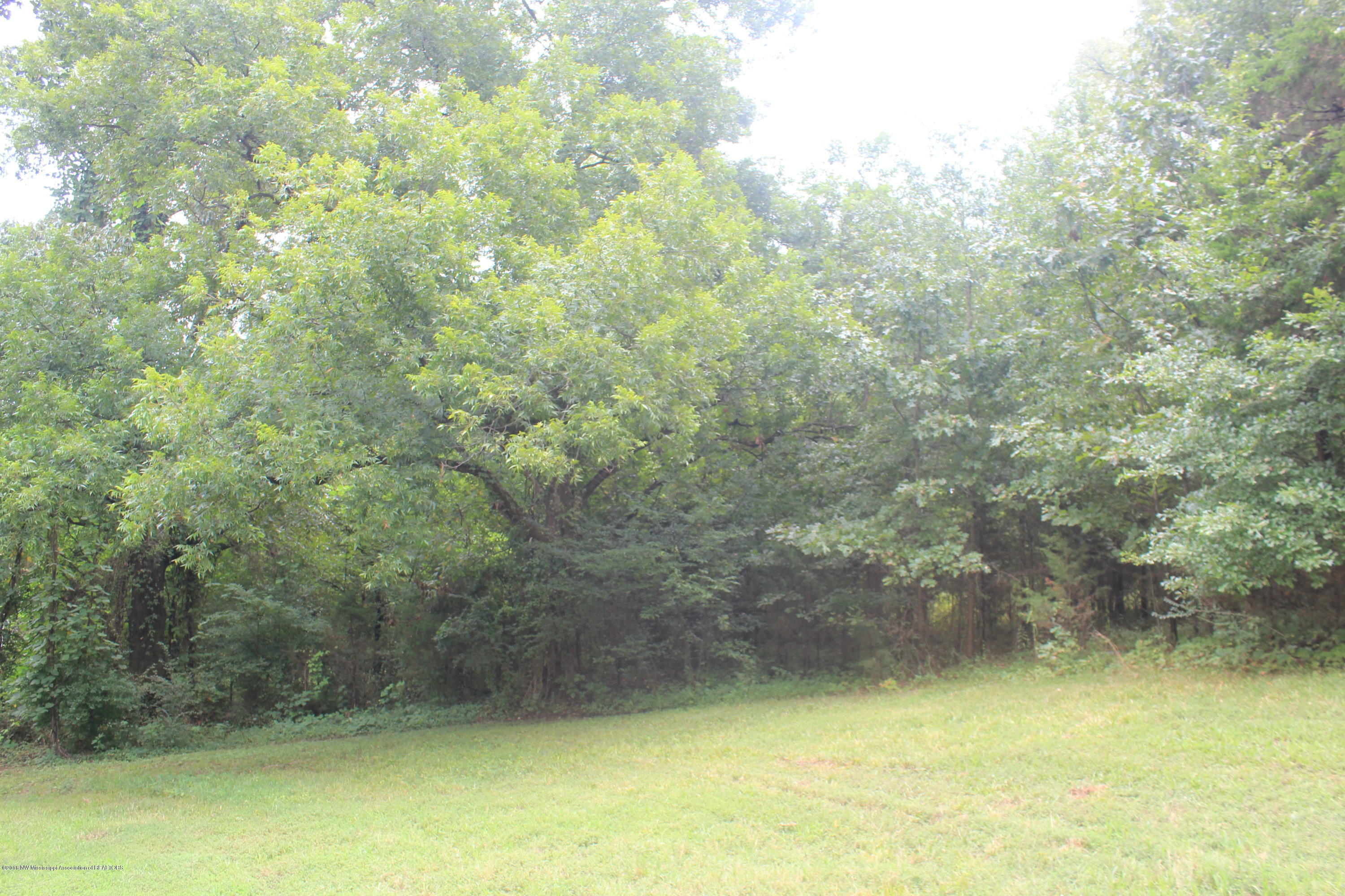 1 Wheeler Road Hernando, MS 38632 - Photo 8 of 19 008