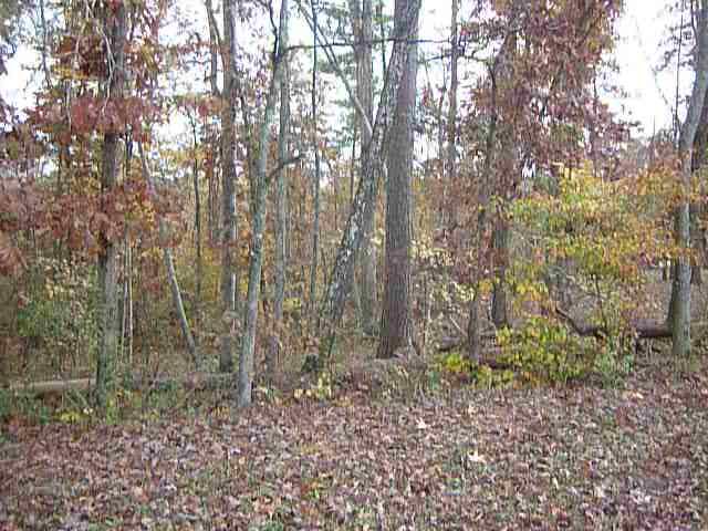 Lot 54 Warman Dr Spring, Unit 54 Spring City, TN 37381 - Photo 1 of 5 Primary
