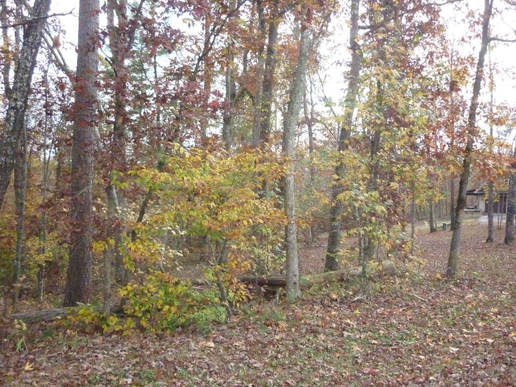 Lot 54 Warman Dr Spring, Unit 54 Spring City, TN 37381 - Photo 3 of 5 P1060348 (Medium)