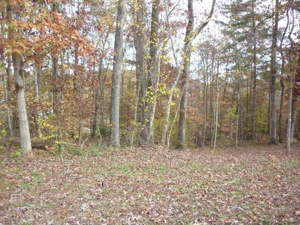 Lot 54 Warman Dr Spring, Unit 54 Spring City, TN 37381 - Photo 4 of 5 P1060349 (Medium)