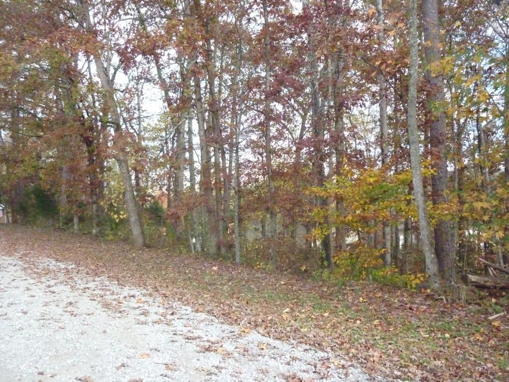 Lot 54 Warman Dr Spring, Unit 54 Spring City, TN 37381 - Photo 5 of 5 P1060350 (Medium)