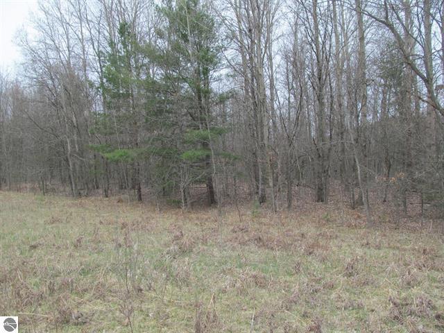 Lot 7 West Blue Road McBain, MI 49657 - Photo 5 of 6 Gallery Image 5