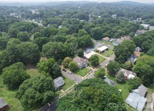 an aerial view of green landscape with trees houses and mountain view