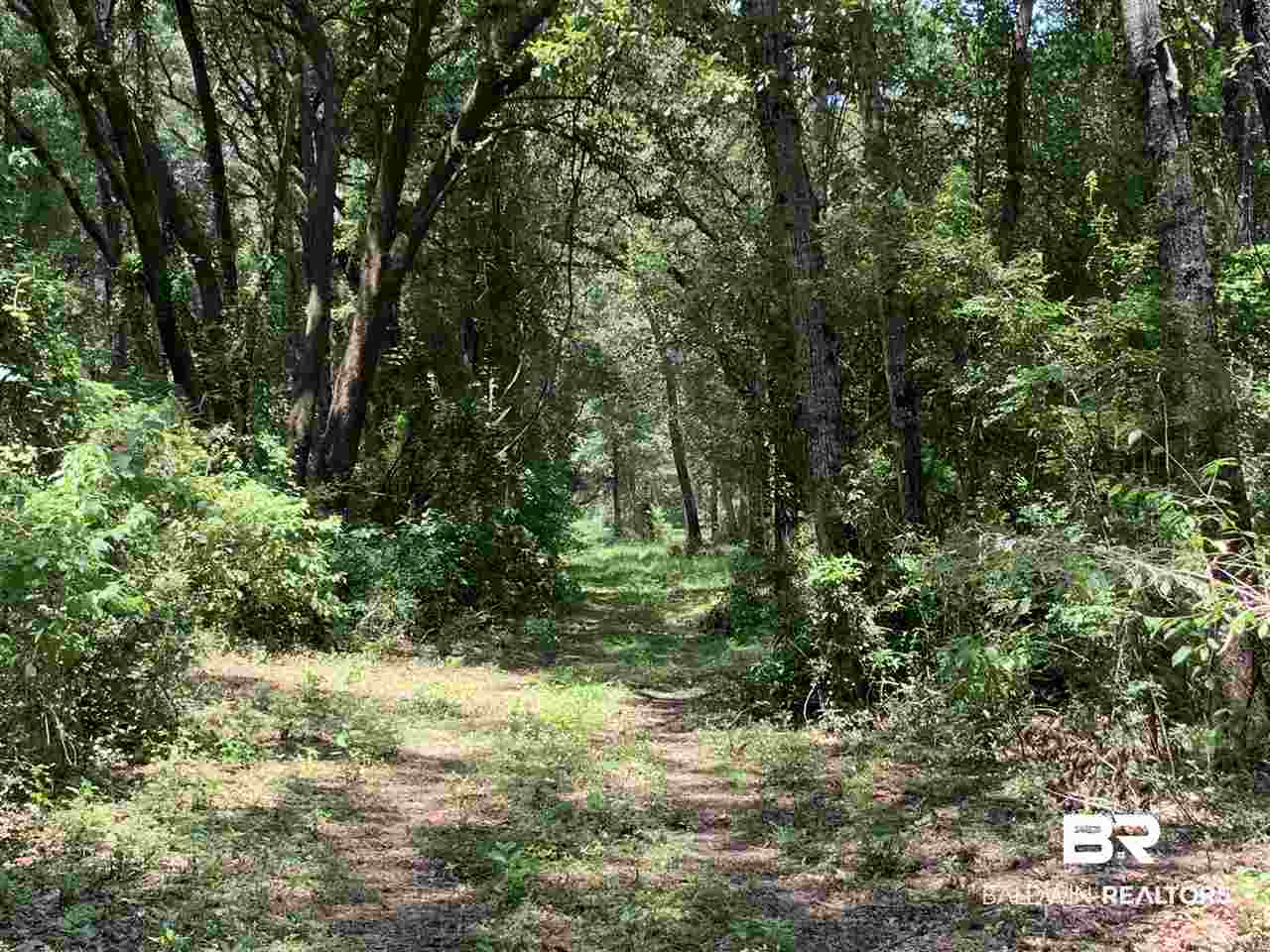 0 Frank Road Silverhill, AL 36576 - Photo 4 of 17
