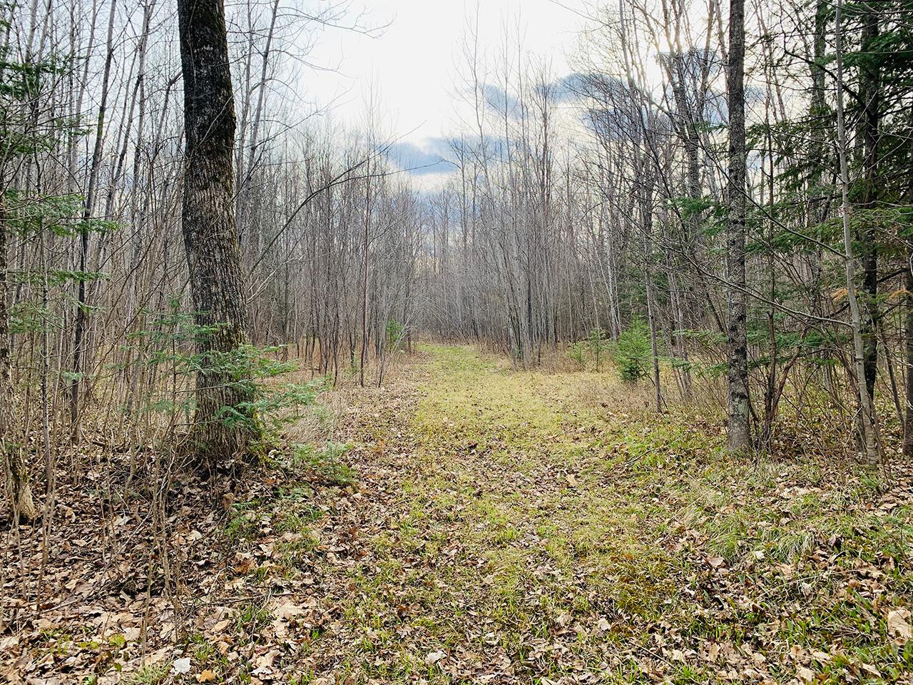 N4499 Galkin Road Gleason, WI 54435 - Photo 15 of 17 Gallery Image 15