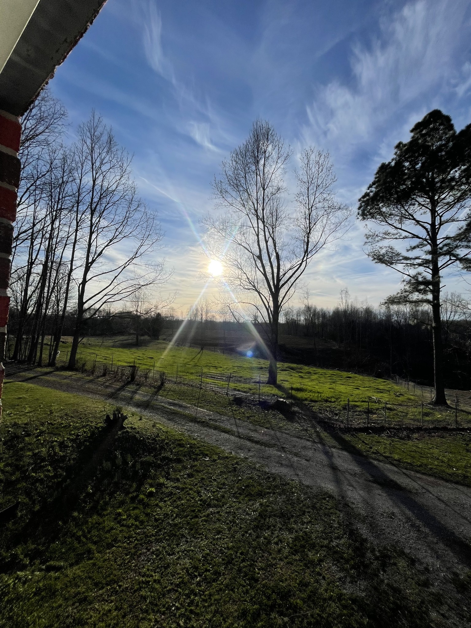 321 Goodridge Road Woodbury, TN 37190 - Photo 3 of 6