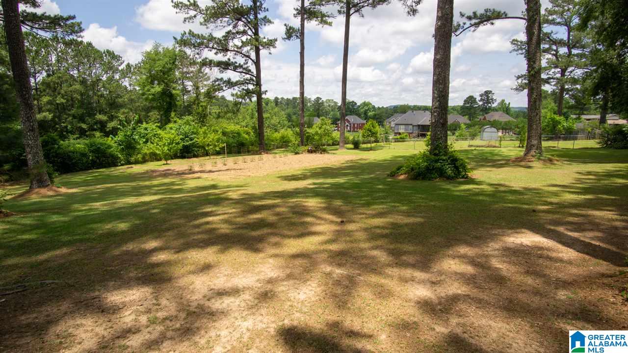 1313 Reds Road Bessemer, AL 35022 - Photo 38 of 44
